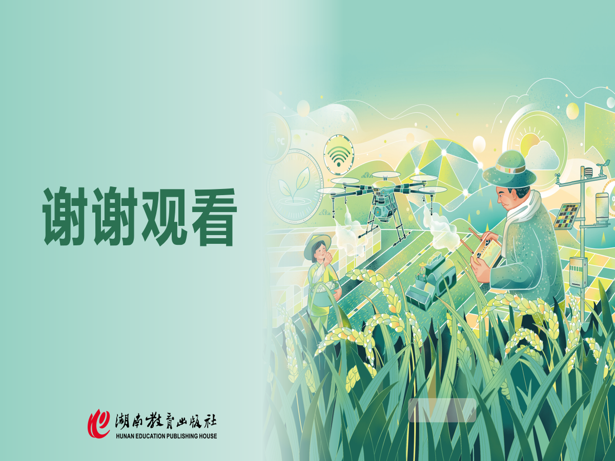 幻灯片 11